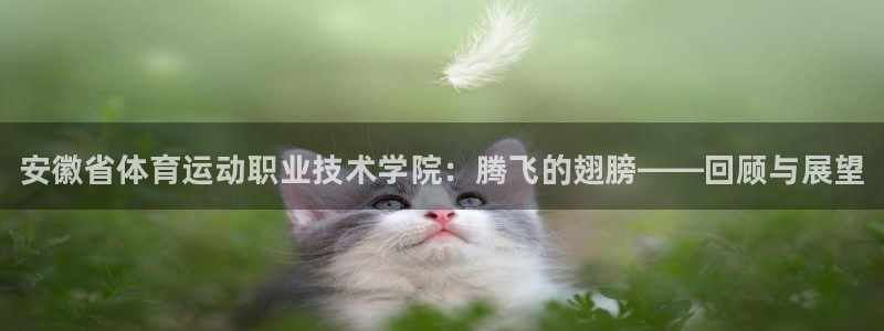 利记官方正版app集团logo：安徽省体育运动职业技