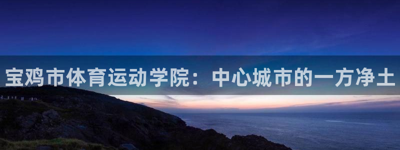利记官方正版app集团：宝鸡市体育运动学院：中心城市
