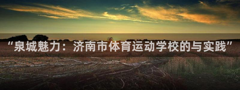 利记官网下载平台APP：“泉城魅力：济南市体育运动学