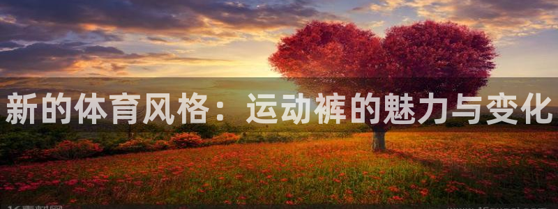 利记官网下载平台是正规平台吗知乎：新的体育风格：运动
