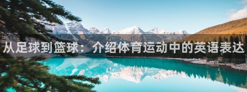 利记官网下载软件：从足球到篮球：介绍体育运动中的英语