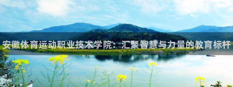 利记官网下载开户：安徽体育运动职业技术学院：汇聚智慧