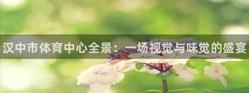 利记官方正版app娱乐：汉中市体育中心全景：一场视觉与味觉的
