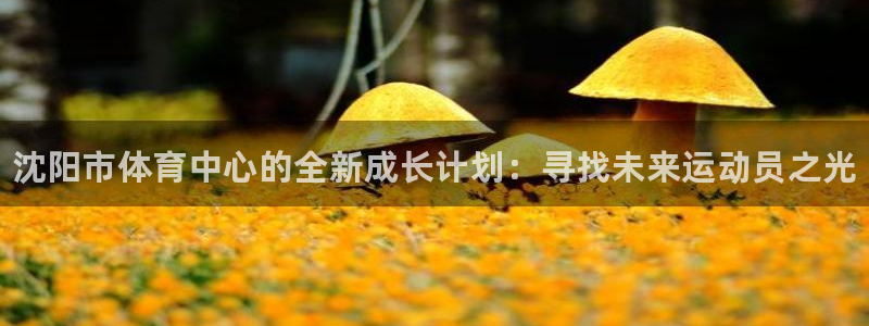 利记官方正版app官方：沈阳市体育中心的全新成长计划