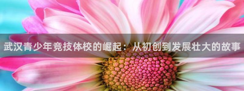 利记官网下载招商电话号码是多少：武汉青少年竞技体校的崛起：从