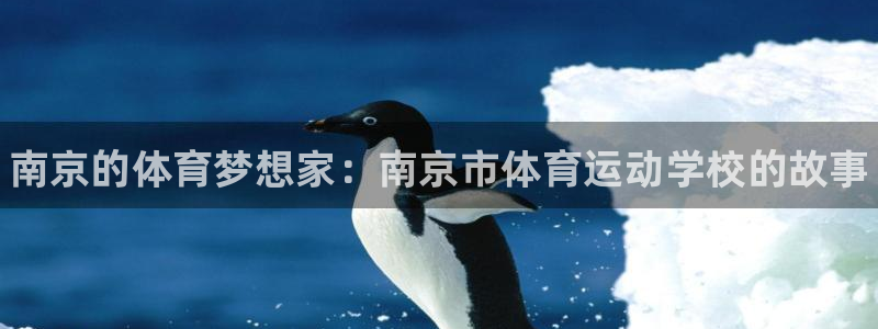 利记官方正版app开户：南京的体育梦想家：南京市体育