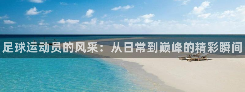 利记官方正版app集团logo：足球运动员的风采：从
