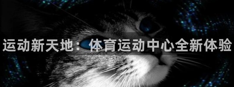 利记官方正版app神州：运动新天地：体育运动中心全新