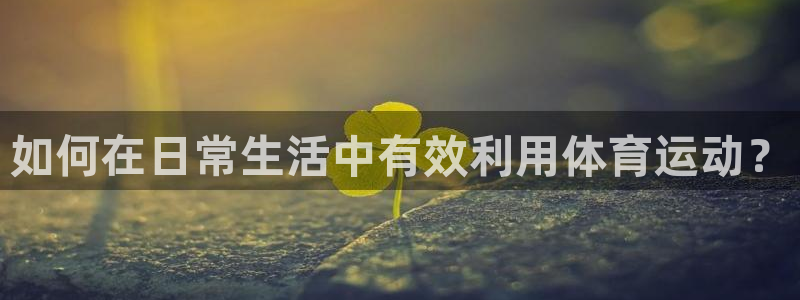 利记官方正版app官网