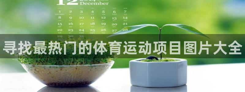 利记官方正版app集团官网首页：寻找最热门的体育运动
