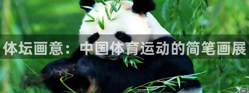 利记官网下载平台是正规平台吗安全吗：体坛画意：中国体