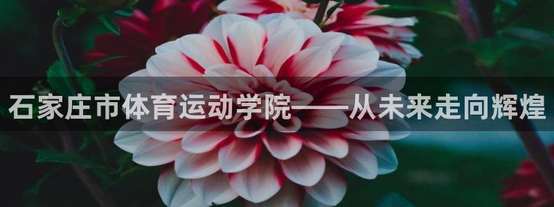 德国利记官方正版app集团：石家庄市体育运动学院——