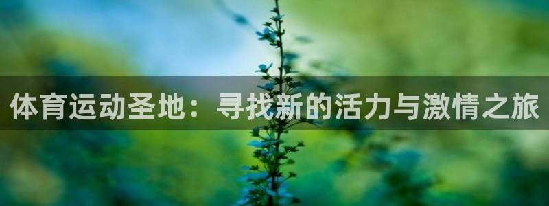利记官方正版app集团简介：体育运动圣地：寻找新的活力与激情