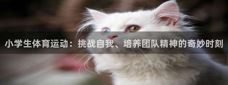 利记官网下载招商电话是多少号码：小学生体育运动：挑战自我、培