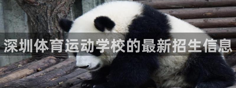 利记官方正版app集团官网首页：深圳体育运动学校的最新招生信