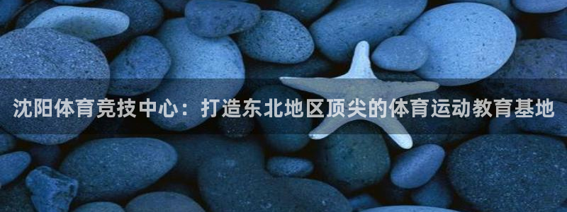 注册利记官方正版app：沈阳体育竞技中心：打造东北地区顶尖的