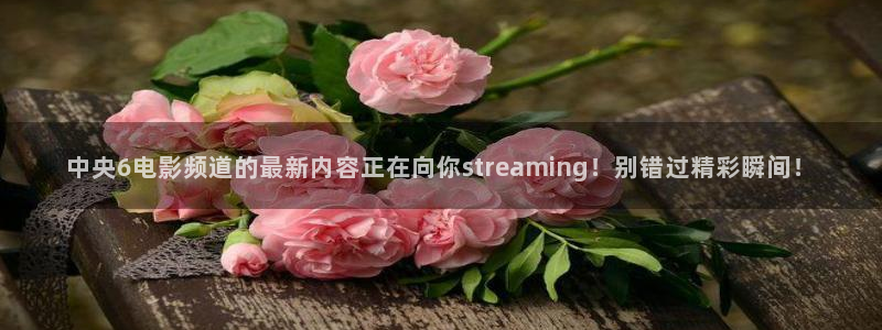 nba直播吧小九直播