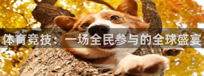 利记官网下载平台注册流程图：体育竞技：一场全民参与的