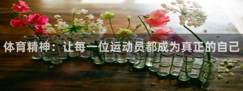 利记官方正版app代理：体育精神：让每一位运动员都成
