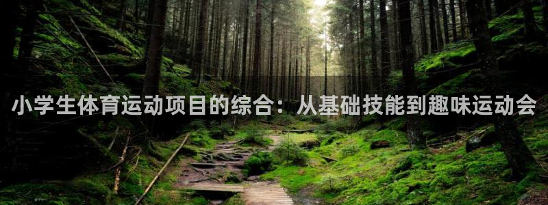 利记官网下载招商电话号码查询：小学生体育运动项目的综