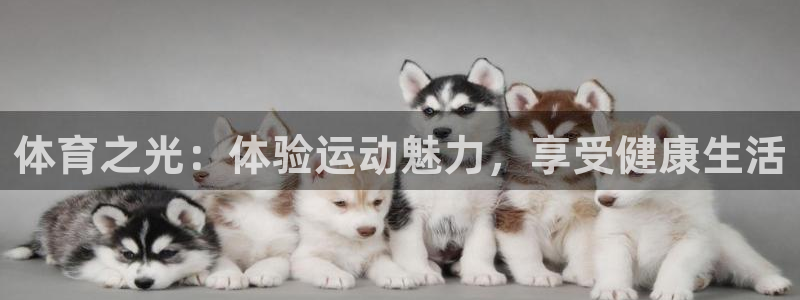 利记官网下载平台注册要钱吗是真的吗:体育之光:体验运动魅力,